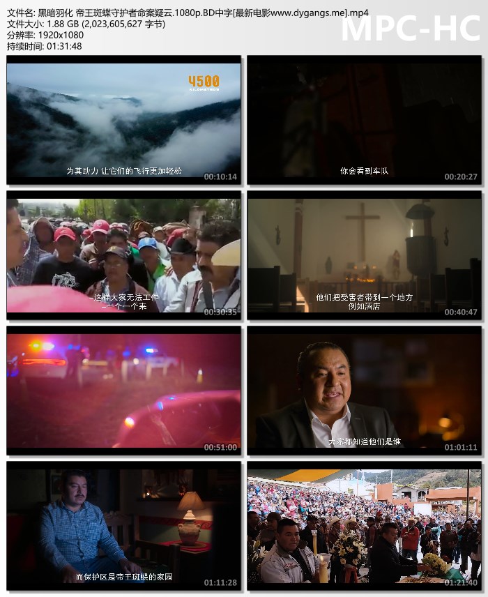 众安保险官网,众安保险官网链接
